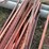 25-count--6'-t-posts-image-3