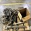 capstan-nject-image-5