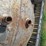 #86-•-#26820-•-lot-of-(2)-200lb-propane-tanks-image-6