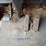 2001-kenworth-t300-image-50