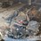 2005-jcb-506chl-image-21