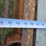 #32-•-#26807-•-1999-winston-ap2102560-20'-t/a-steel-pintle-hitch-equipment-trailer-1w9ap252bxh202819-image-21