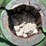 john-deere-model-g-flywheel-image-6