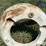 wheel-weights-image-11