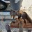 2019-bobcat-t870-image-57