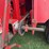 1997-massey-ferguson-8780-image-30