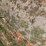 bobcat-325-image-24
