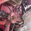 international-1460-image-9
