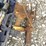 2---battery-powered-grease-guns,-more-image-4