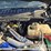 2017-ford-f250-xl-image-29