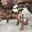947---farmall-138-(sn#-4203)-image-11