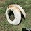 wheel-weights-image-5