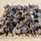 #81159-•-lot-of-heavy-duty-valves-image-1