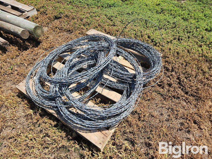 barbed-wire-image-4