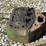 john-deere-model-g-head-image-11