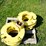 john-deere-2755-image-2
