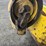 #383-•-john-deere-676-corn-head-image-11