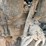 bobcat-t190-image-21