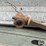 new-idea-176-image-15