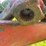 new-holland-892-image-3