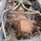1993-freightliner-truck-(jn2646,-unit-42339)-image-41