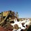 john-deere-55-image-2