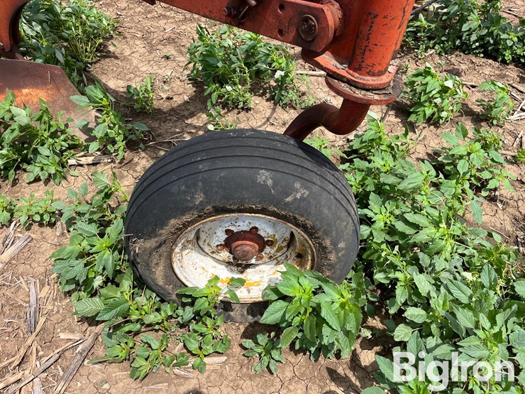white-plow-image-19
