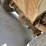 2004-ford-f550-image-59