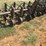 #36-•-#26833-•-ford-1027-12'-cultivator-1875-image-7