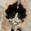 john-deere-model-g-flywheel-image-6