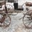 buckboard-w/-4-steel-wheels-image-4