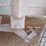 #27-•-#26850-•-2009-hugh-14'-t/a-steel-utility-trailer-4prus20259t000018-image-15