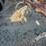 international-55-image-5