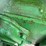 john-deere-a-image-13