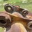 caterpillar-56in-excavator-bucket-image-6