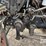 1999-willmar-1600-image-42