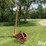 rowse-sickle-mower-image-1
