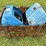 ford-tractor-image-2