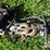 maurer-m24-image-26