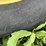john-deere-6600-image-15
