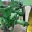 john-deere-a-image-9