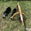countyline-tsc-21-0220-post-hole-digger-image-2