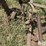 john-deere-5-image-12