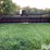 2012-case-ih-3020-image-2