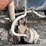 1995-cummins-m11-image-82