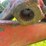 new-holland-892-image-3