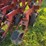 case-5400-drill,-20ft,-soybean-special,-yetter-no-till,-with-markers-image-17
