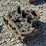 john-deere-model-70-gas-head-image-9