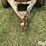 pamco-4-ton-spreader-image-9