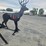 #428-•-shooting-target-image-2